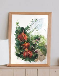 Dahlias rojas: otra vista