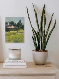 Casita: otra vista
